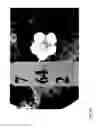 Fig. 94 - STRAWBERRY CULTIVARS