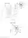 Fig. 13 - PLANT GROWING SYSTEMS AND METHODS