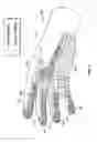 Fig. 02 - Ergonomic, anatomically-shaped, textured palmar surfaced glove with a comb-like, raised nodule palm-pattern for grooming and bathing domesticated animals