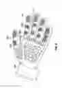Fig. 10 - Ergonomic, anatomically-shaped, textured palmar surfaced glove with a comb-like, raised nodule palm-pattern for grooming and bathing domesticated animals