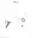 Fig. 12 - Apparatus for coupling a pet leash and pet collar
