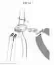 Fig. 13 - Apparatus for coupling a pet leash and pet collar