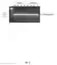 Fig. 03 - NANOS KNOCK-OUT THAT ABLATES GERMLINE CELLS