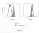 Fig. 07 - Genetically modified major histocompatibility complex animals