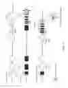 Fig. 13 - Genetically modified major histocompatibility complex animals