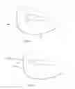 Fig. 04 - Paddle With an Extendable and Retractable Speark