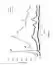 Fig. 10 - Tannin-chitosan composites
