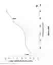 Fig. 12 - Tannin-chitosan composites