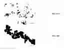 Fig. 04 - POLYDOPAMINE FUNCTIONALIZED CELLULOSE NANOCRYSTALS (PD-CNCS) AND USES THEREOF