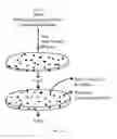 Fig. 05 - Frozen dough product and method for making the same