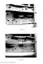 Fig. 12 - Frozen dough product and method for making the same