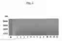 Fig. 03 - Brazzen multiple variants of increased sweetness, and production method for same