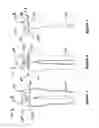 Fig. 02 - Exercise tights