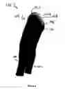 Fig. 03 - Exercise tights