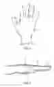 Fig. 02 - Ergonomic work gloves