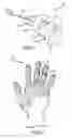 Fig. 04 - Ergonomic work gloves