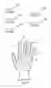 Fig. 05 - Ergonomic work gloves