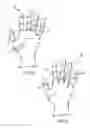 Fig. 06 - Ergonomic work gloves