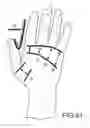 Fig. 30 - Ergonomic work gloves