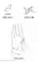 Fig. 34 - Ergonomic work gloves