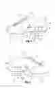 Fig. 02 - Sports shoe with studs