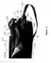 Fig. 18 - Adjustable combination carrying and closure strap system for a bag