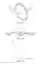 Fig. 07 - Stress control brush