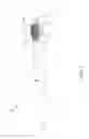 Fig. 02 - Oral care implement having multiple soft tissue cleaner components