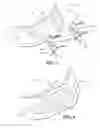 Fig. 04 - Apparatus for providing balance and stability while standing