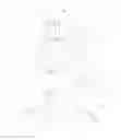 Fig. 01 - LIFTING TREE