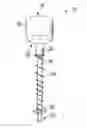 Fig. 01 - APPARATUS AND METHOD FOR MARINATING A VEGETABLE