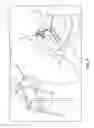 Fig. 05 - Toiletry wiping device