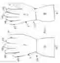 Fig. 02 - SCRUB GLOVE FOR CLEANING VARIOUS ARTICLES