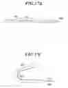 Fig. 20 - Laparoscopic device and endoscopic system