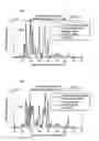 Fig. 07 - Heart rate estimation apparatus with state sequence optimization