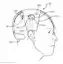 Fig. 01 - EEG headsets with precise and consistent electrode positioning