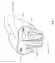 Fig. 04 - DETECTING AND TREATING DISORDERED BREATHING