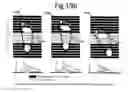 Fig. 34 - Scaled-based methods and apparatuses for automatically updating patient profiles