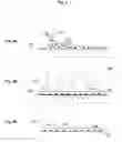 Fig. 05 - Systems, methods, and devices for assessing microbiota of skin
