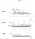 Fig. 06 - Systems, methods, and devices for assessing microbiota of skin
