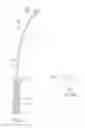 Fig. 07 - Delivery Apparatus for a Medical Device
