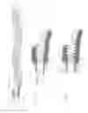 Fig. 03 - Micrograft for the treatment of intracranial aneurysms and method for use