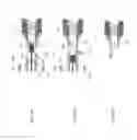 Fig. 06 - Micrograft for the treatment of intracranial aneurysms and method for use