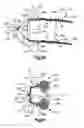 Fig. 05 - Methods for approximating a tissue defect using an anchor assembly
