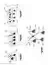 Fig. 86 - Methods for approximating a tissue defect using an anchor assembly