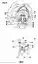 Fig. 03 - Clivus plate
