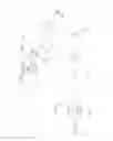 Fig. 06 - SPINAL ROD REDUCTION SYSTEM