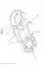 Fig. 04 - FIXING DEVICE FOR BONE FRACTURES
