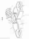Fig. 10 - FIXING DEVICE FOR BONE FRACTURES