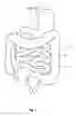 Fig. 02 - APPARATUSES, SYSTEMS AND METHODS FOR TREATING ULCERATIVE COLITIS AND OTHER INFLAMMATORY BOWEL DISEASES